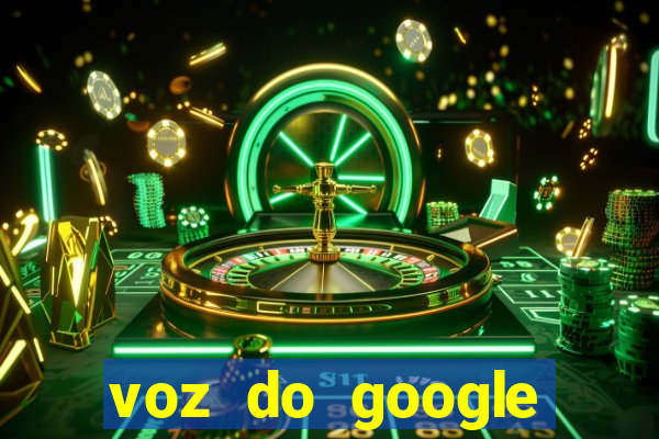 voz do google tradutor homem