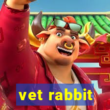 vet rabbit