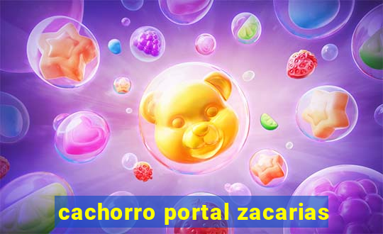 cachorro portal zacarias