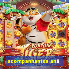 acompanhantes anã