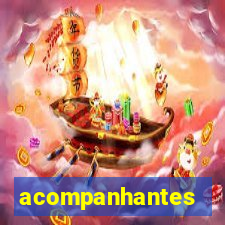 acompanhantes chamada de video