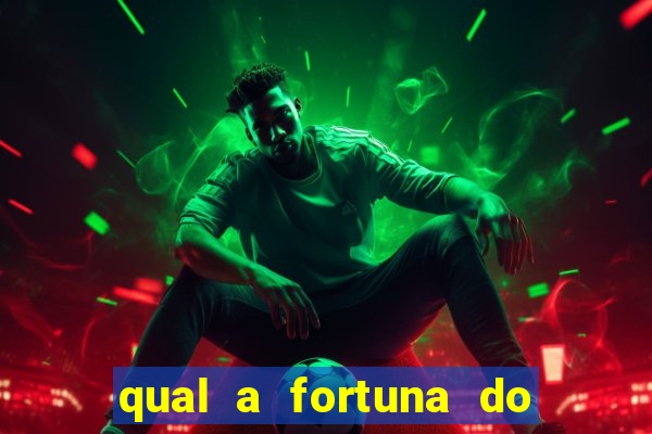 qual a fortuna do raul gil