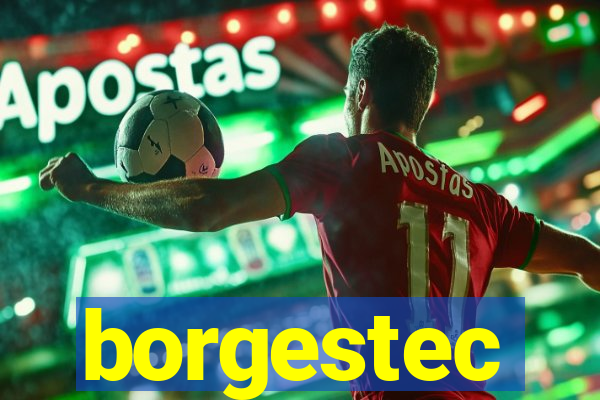 borgestec