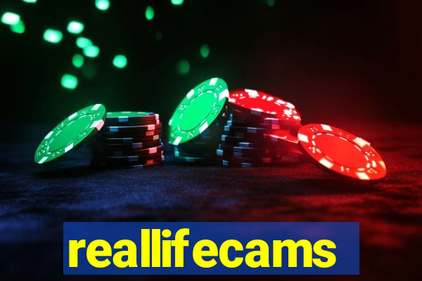 reallifecams