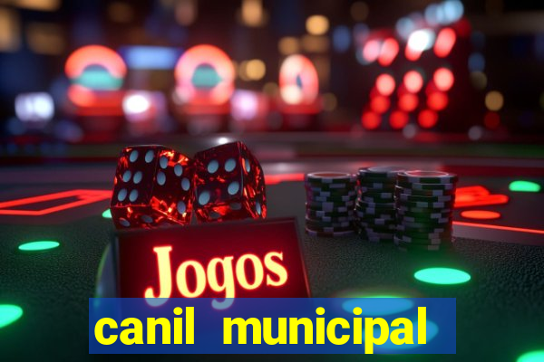 canil municipal porto alegre